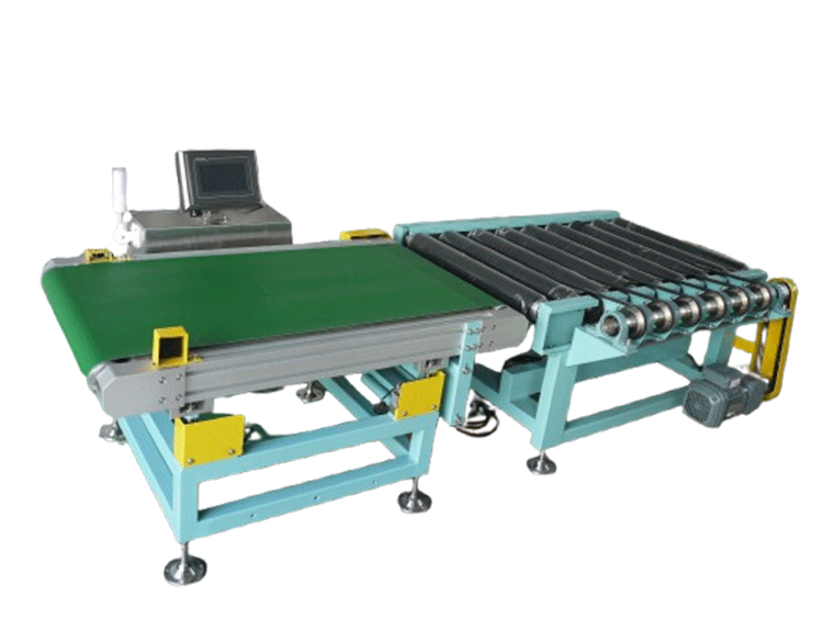 ACW-60B Dynamic Checkweigher
