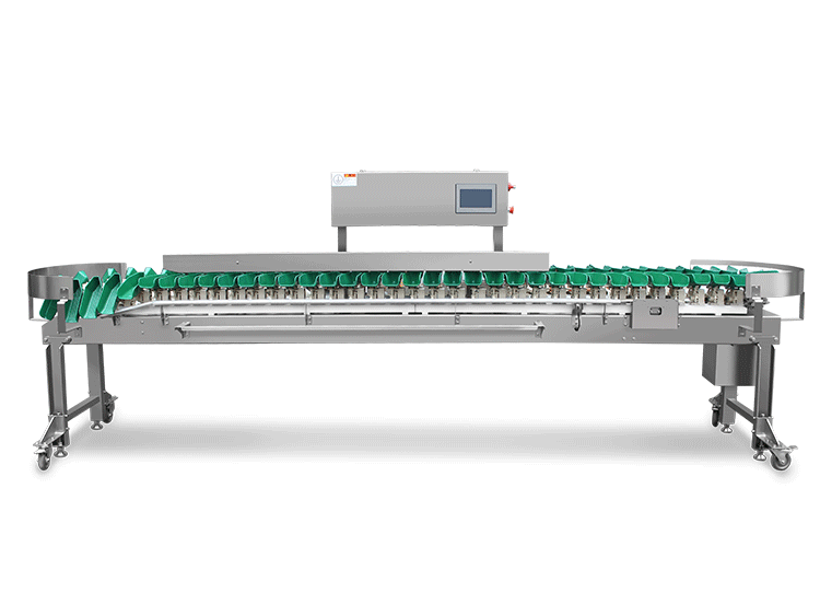 ACW-2B-Z 重量選別機(jī)